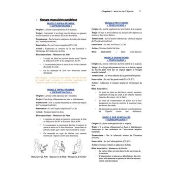 Anatomie descriptive et topographique des membres