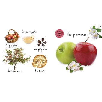 Mon bel imagier des odeurs - Les odeurs de fruits (Ananas, melon) - Gratte et sens 6 parfums