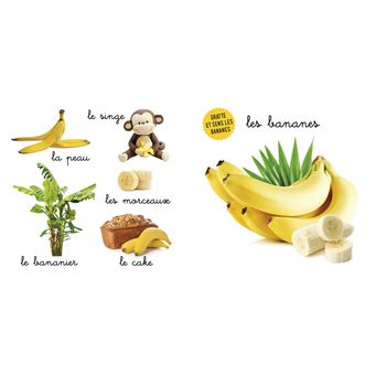 Mon bel imagier des odeurs - Les odeurs de fruits (Ananas, melon) - Gratte et sens 6 parfums