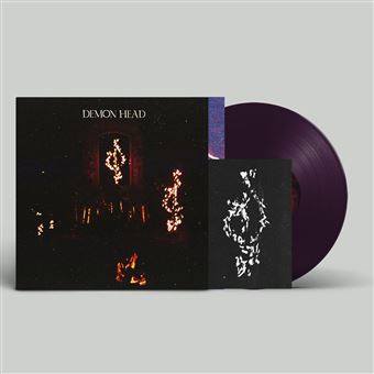 Through Holes Shine the Stars - Vinilo morado