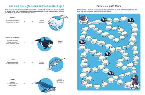 Jeu de l'Avent «Voyage autour du monde»