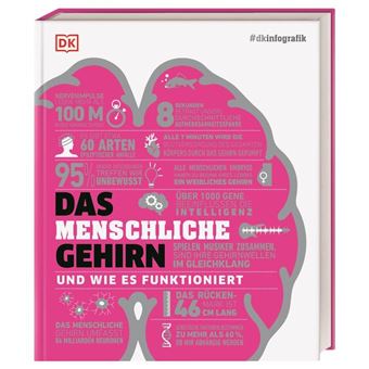 DKINFOGRAFIK. DAS MENSCHLICHE GEHIRN UND WIE ES F