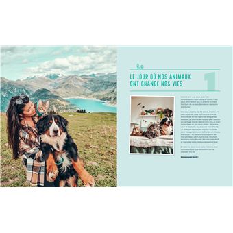 Un van, un chien, deux chats, en route !