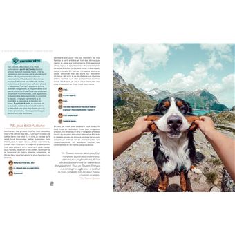 Un van, un chien, deux chats, en route !