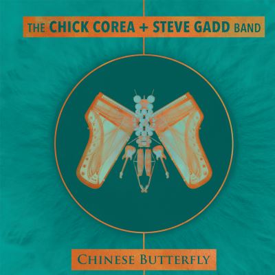 Chinese butterfly