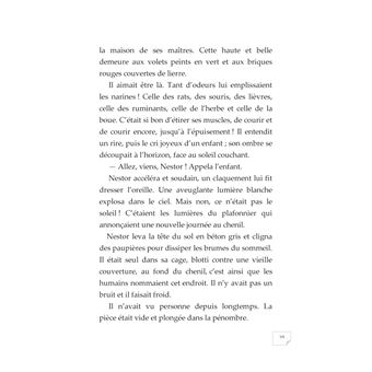 Lila et le petit Homme aux cheveux d'or