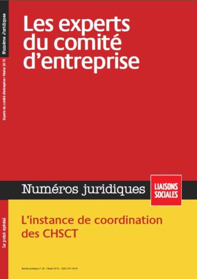 Experts du comite d entreprise