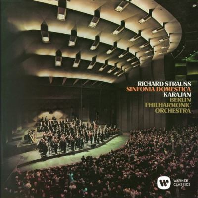 Sinfonia domestica