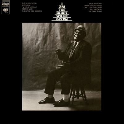 I Am The Blues Vinyle Coloré
