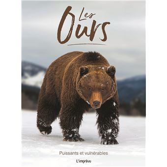 Les ours