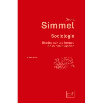 Sociologie. Études sur les formes de la socialisation - 1