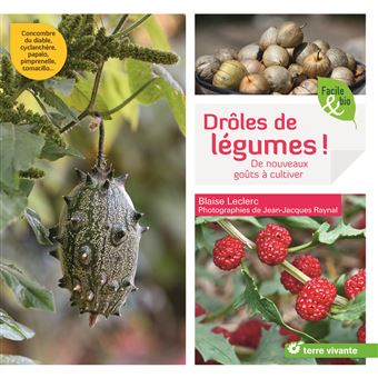 Drôles de légumes !