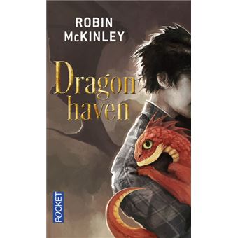 Robin Mckinley Pegasus Sequel