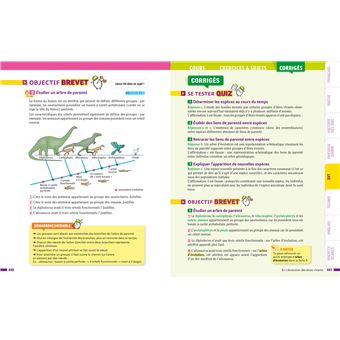 Prépabrevet Tout le brevet - tout-en-un 3e Brevet 2022