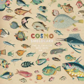 Cosmo Sheldrake - 1