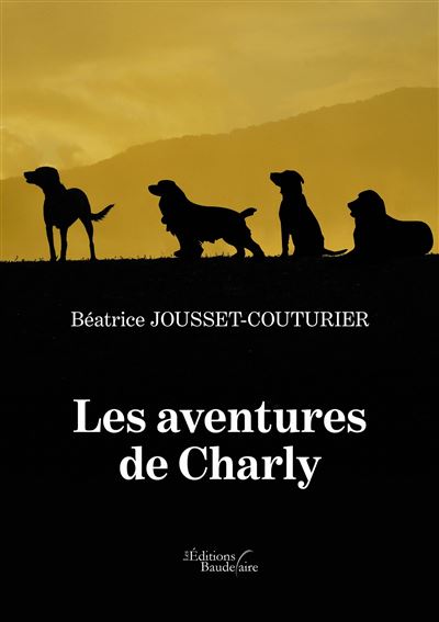 Les aventures de charly