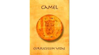 Camel - Curriculum Vitae