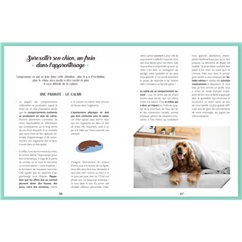 Elever son chien avec l'éducation positive et complice