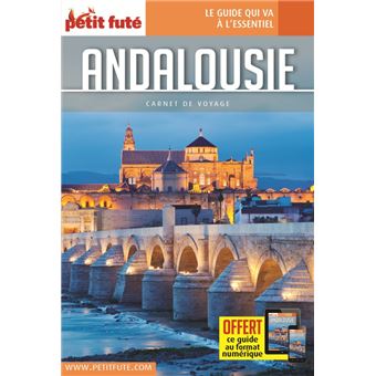 Guide Andalousie 2023 Carnet Petit Futé