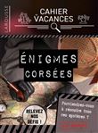 Cahier de vacances Larousse (adultes) spécial ENIGMES