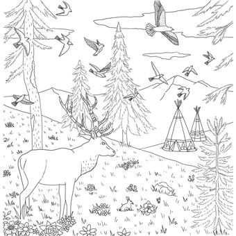 Marque-pages Animaux de la forêt - Collectif, Livre tous les livres à la  Fnac