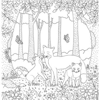 Animaux de la forêt