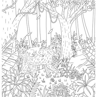 Animaux de la forêt