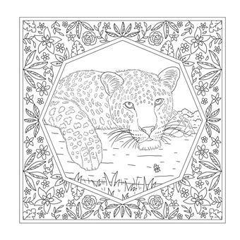 Animaux de la forêt