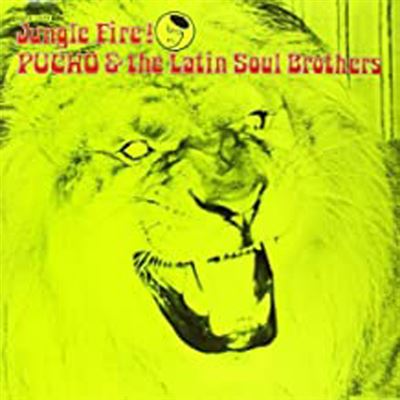 Jungle fire