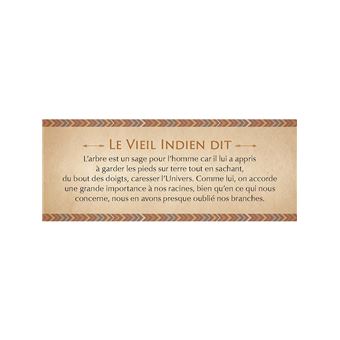 Le petit oracle des sagesses amérindiennes
