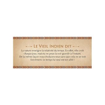 Le petit oracle des sagesses amérindiennes