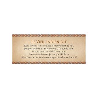 Le petit oracle des sagesses amérindiennes
