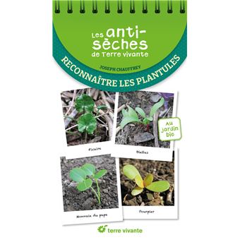 Reconnaître les plantules