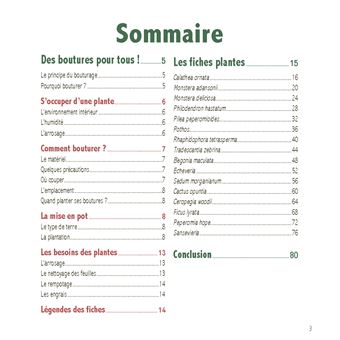 Faites pousser vos boutures !. Zéro difficulté - Zéro déchet - Zéro dépense