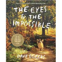 The Eyes and the Impossible