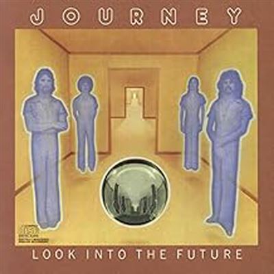 Look into the future