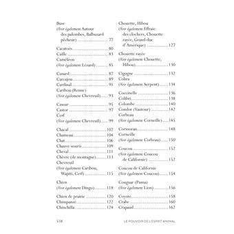 Le pouvoir de l'esprit animal - Vers un chemin de guérison grâce à l'enseignement des animaux-guides