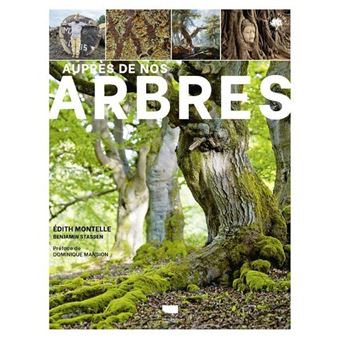 Auprès de nos arbres