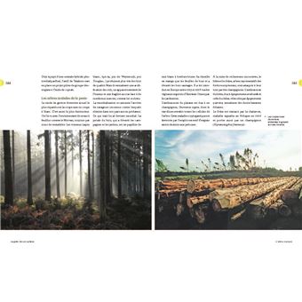 Auprès de nos arbres