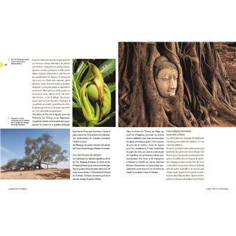 Auprès de nos arbres