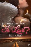 Is it love ? Fallen road, T1 : Cendres