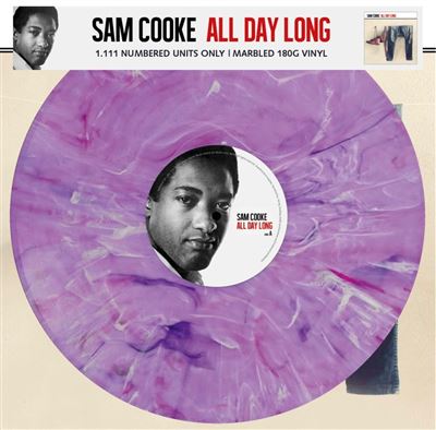 All Day Long Vinyle Violet Marbré