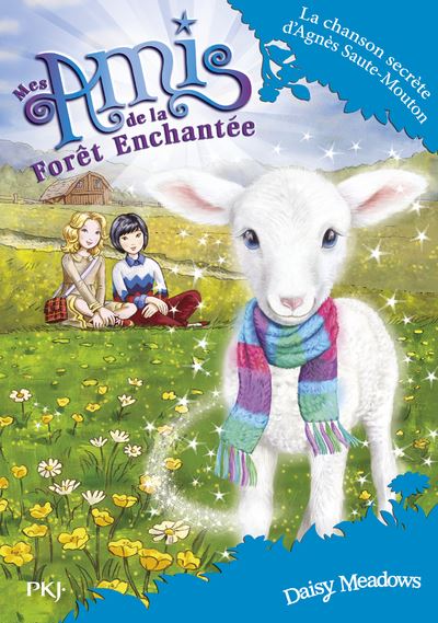 La chanson secrète d'Agnès Saute-Moutons