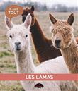 Les lamas