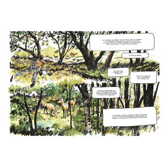 La Vie secrète des arbres en BD