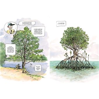 La Vie secrète des arbres en BD