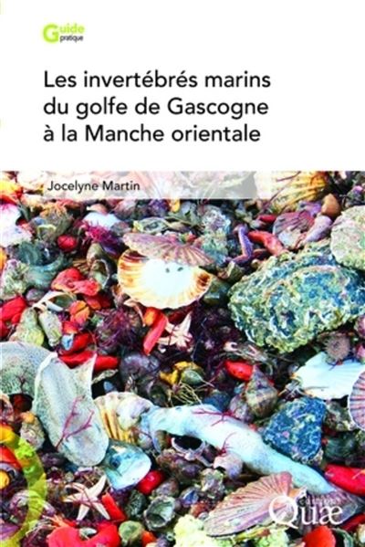 Les invertébrés marins du golfe de Gascogne à la Manche orientale - Jocelyne Martin - broché
