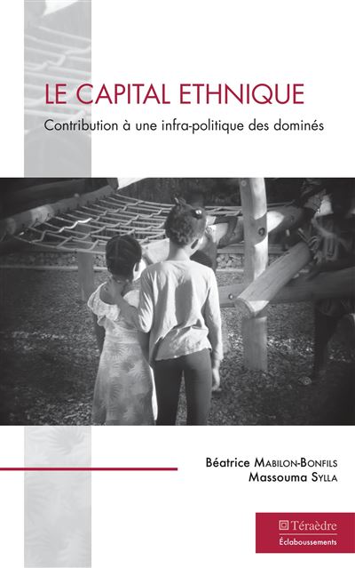 Le capital ethnique - Béatrice Mabilon-Bonfils - broché
