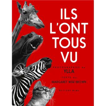 Ils l'ont tous vu !