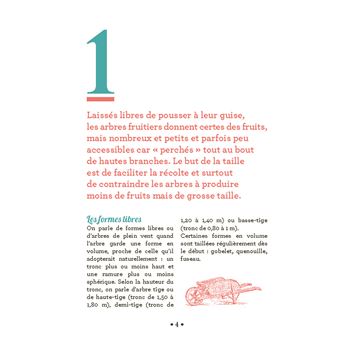 10 astuces indispensables pour tailler les arbres fruitiers